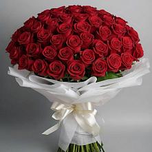 Букет 101 Красная роза Блэк Мэджик в Вохринке