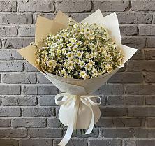 Букет цветов из:  Ромашки #REPLACE_PRED# Вохринке