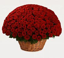 Премиум букет из: Розы #REPLACE_PRED# Вохринке